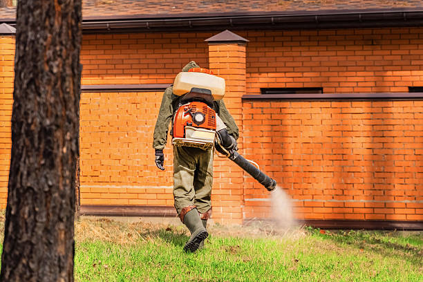Trusted Cockroach Control service in East Prairie, MO - Nex Pest Control